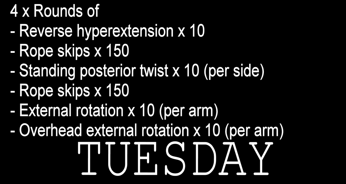 codeapeorg's tweet image. Had a good 6 AM workout. The rope skips are good for my shoulders. However, I need to evolve my skipping game so it looks fancier.

#DEFReset @EchelonFront @jockofuel