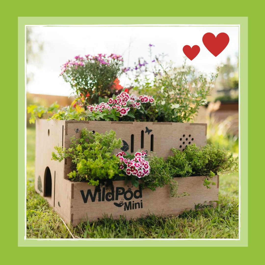 It’s the last day of January, where has this month gone? For #ValentinesDay this year, show the wildlife in your garden some love and purchase one of our unique multi-habitat planters. #StValentinesDay #giftinspiration #yorkshirebusiness #localbusinessuk