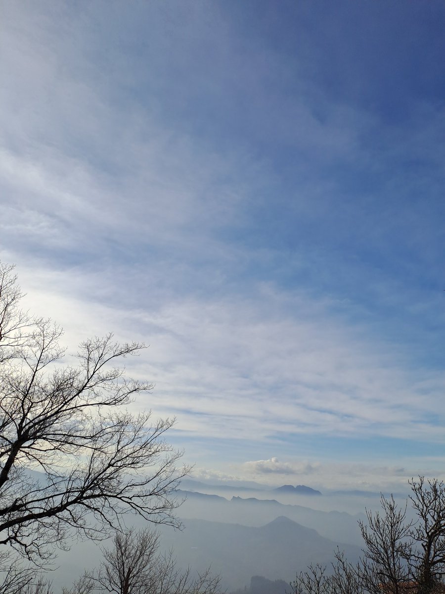 fvvk.eth tweet media