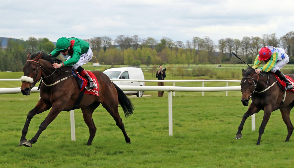 AgaKhanStuds's tweet photo. #Shamreen is our #MareMonday star today. This 10yo mare, a 9th generation Aga Khan homebred, was a 2x winner of the Gr.2 Blandford Stakes @curraghrace.
Her 2nd foal was Gr.2 winning & Gr.1 placed 2yo of 2022 #Shartash. She has a 2yo #Siyouni colt and 1yo filly by Lope De Vega. https://t.co/KOmGROyrb8