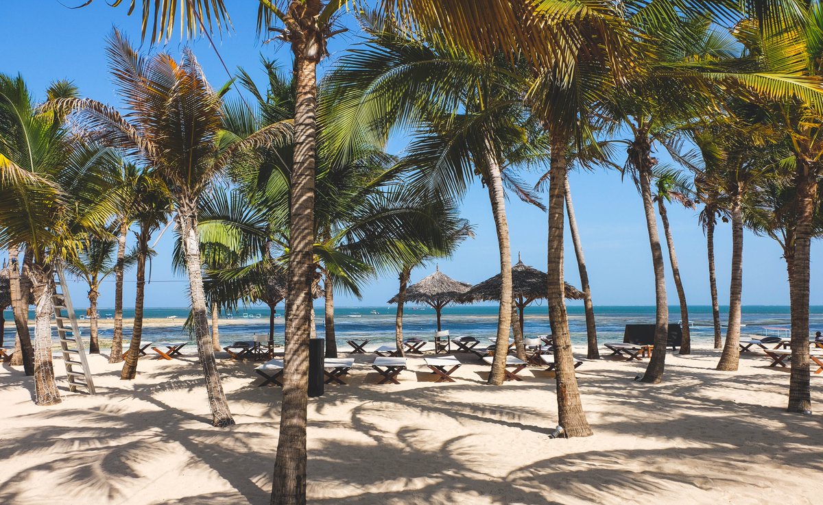 Nature Expeditions Africa (@nature_exp) on Twitter photo Get away from it all and experience paradise in Malindi. Enjoy luxurious beach accommodations with the sun, sand, and crystal-clear waters.
Book now and create the perfect beach getaway:
☎+254 – 748 717 387
📧info@natureexpeditions.com
#Malindi #Paradise #BeachVacation Get away from it all and experience paradise in Malindi. Enjoy luxurious beach accommodations with the sun, sand, and crystal-clear waters.
Book now and create the perfect beach getaway:
☎+254 – 748 717 387
📧info@natureexpeditions.com
#Malindi #Paradise #BeachVacation