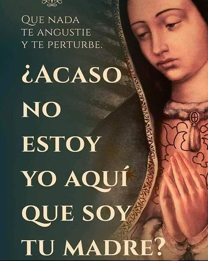 divinavoluntad's tweet photo. https://t.co/YQ6C8qfiSP