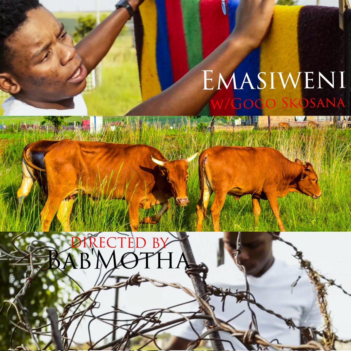 🚨New Video Alert 🚨
Emasisweni w/Gogo Skosana🇦🇲

Directed by 🎥: Bab'Motha
Produced by 🎬 : Mapara Media
Edited by 🖥️: Bab'Motha
 C O M I N G   S O O N ✈️🫶🏾

#Emasisweni #MaparaMedia #Pitori #WeNeedAmaNdebeleOnTV #ISIKHETHU #Viral #fyp #SouthAfrica #isiNdebele