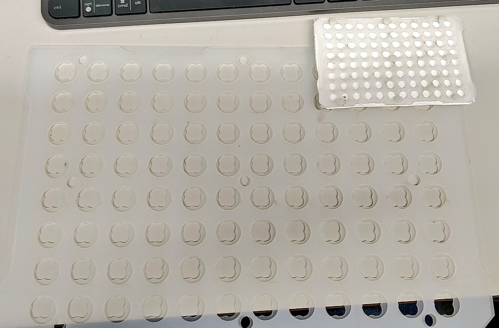 BramVDBe's tweet image. #diyscience is so much fun. Sadly Inkscape randomly decided to enlarge my design upon exporting... So now I have a lid for a massive 96-well plate... Which do not exist. Well, the quality of #bmtec is great at least.