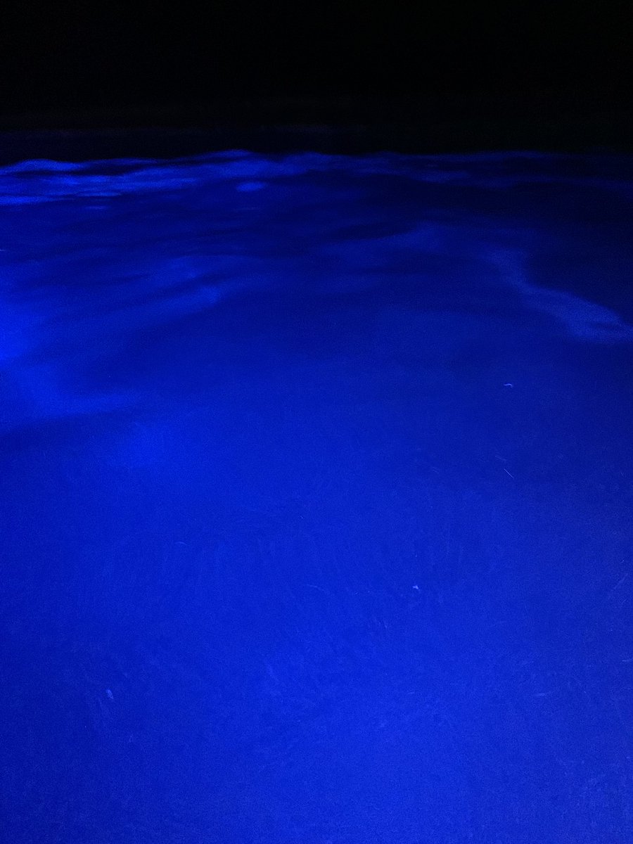 Sonia Cuff tweet media