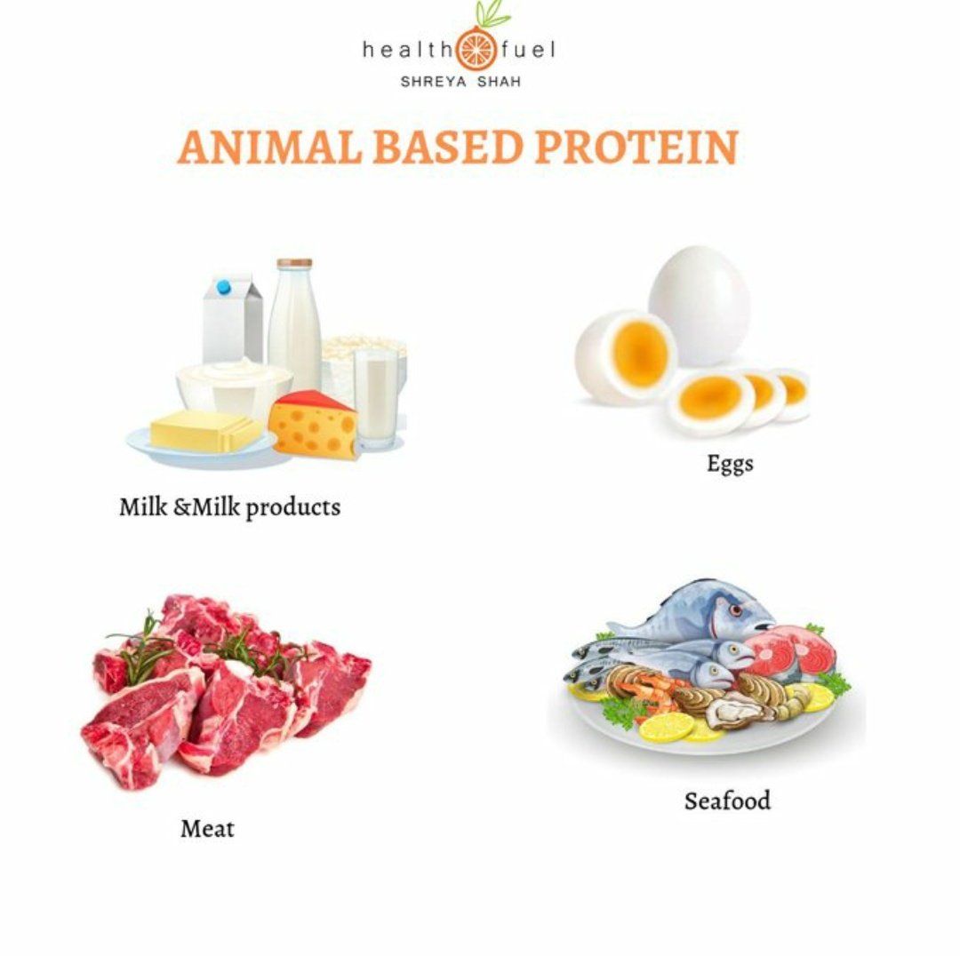 Animalbased protein!! Just as plantbased proteins are rich sources of