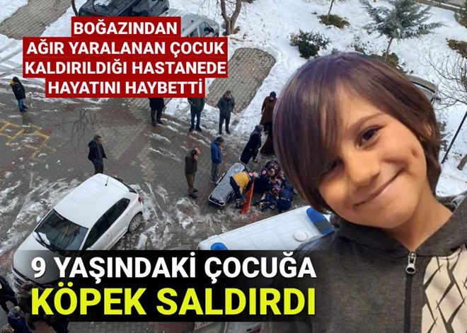 Van'da köpek saldırısına uğrayan 9 yaşındaki çocuk hayatını kaybetti.

#KöpekleriToplayın