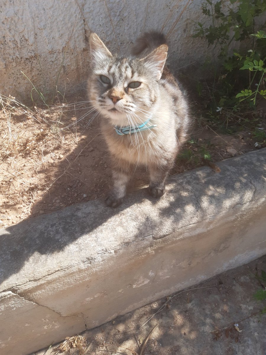 micastilloj's tweet photo. @kikux0 te presento a mi trupe 😄 https://t.co/60kRJlShgt