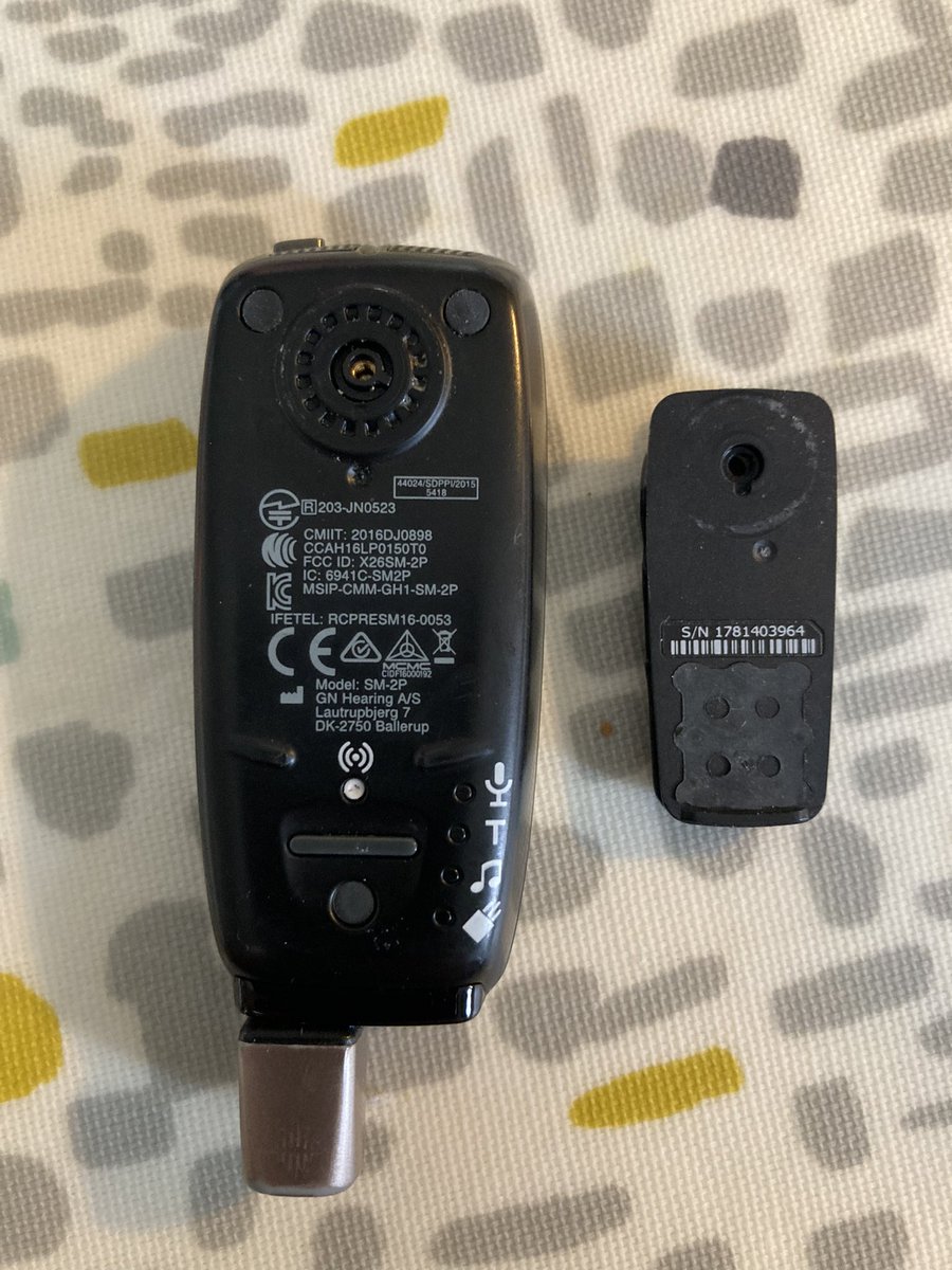 Fiona Whyte tweet media