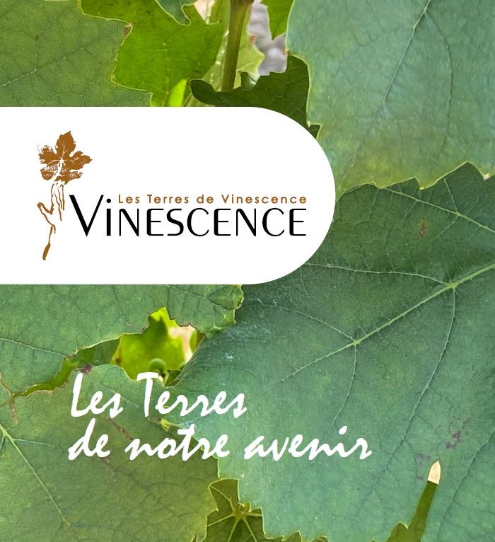 CaveVinescence's tweet photo. En devenant acteur du projet : Devenez collectivement propriétaire de vignes dans le Beaujolais, soutenez le développement économique des vignerons, Participez à un projet engagé et militant, pour les générations futures, Permettez l’installation et le développement des vignerons https://t.co/YqEXfIWge8