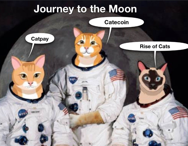 catecoin's tweet photo. The journey to the #moon was not an easy journey The promise to get to the moon was a hard-fought battle. The trip was not done alone, there were people that put endless hours into the hope that one day we would do it
Without #Catearmy we are nothing Thank you for supporting us🚀 https://t.co/9U6S4k66Qv