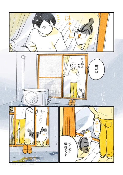 雨のベランダと猫 