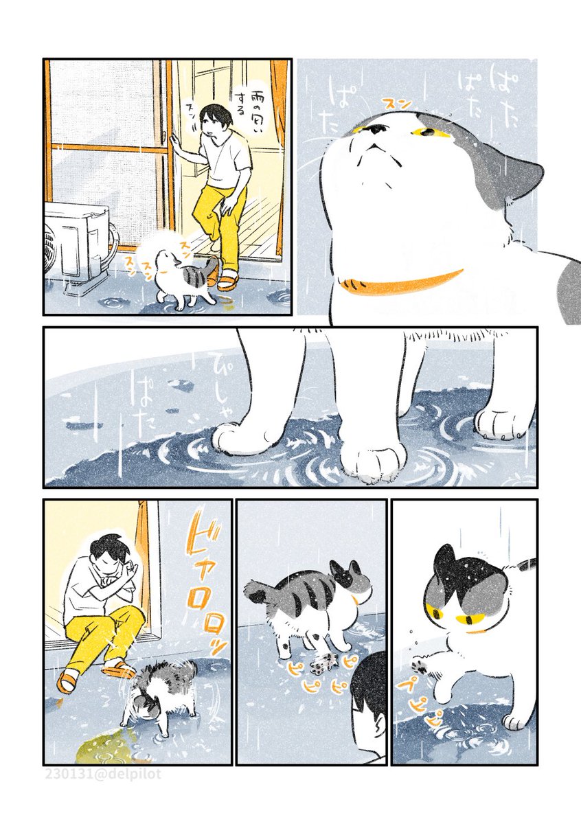 雨のベランダと猫 