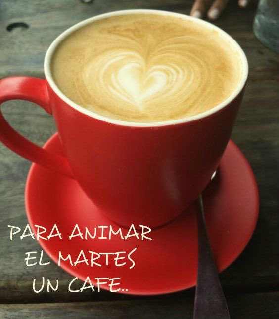 #martes #apenasmartes #31DeEnero #seacabóenero #FelizMartesATodos #disfrutatudía #caféporfavor #graciasDiosporestedía