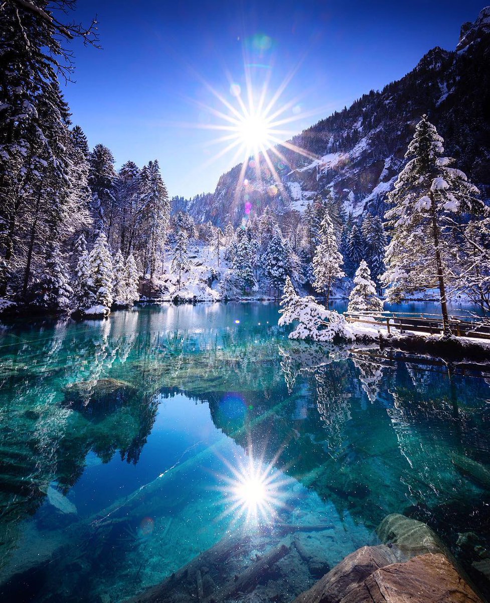 Happy Day 🌞❄

Lake Blausee 🇨🇭