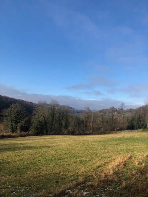 DFedMH's tweet photo. This week's well-being walk at Whatstandwell. 🌿 https://t.co/Fo2BmFu8Mj