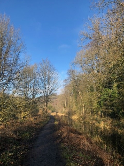 DFedMH's tweet photo. This week's well-being walk at Whatstandwell. 🌿 https://t.co/geO9xrZJFL