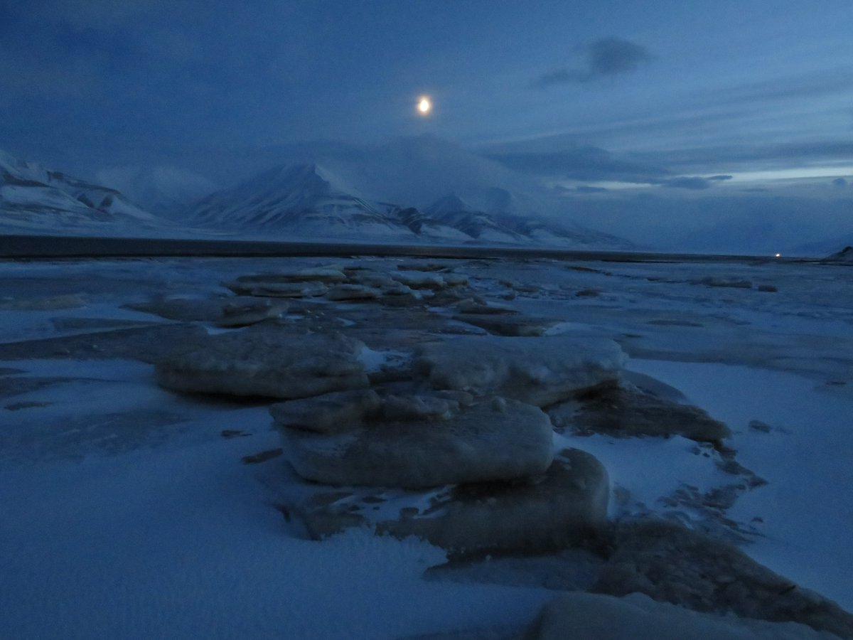 will_harcourt's tweet photo. Last week I had the pleasure of attending the @SIOS_KC #PolarNightWeek 2023 in Longyearbyen, Svalbard.
This featured an excursion to a Pingo site, great views of the snow-capped mountains & near-shore sea ice, and lots of inspiring talks & discussions! https://t.co/LmVnsKqREg