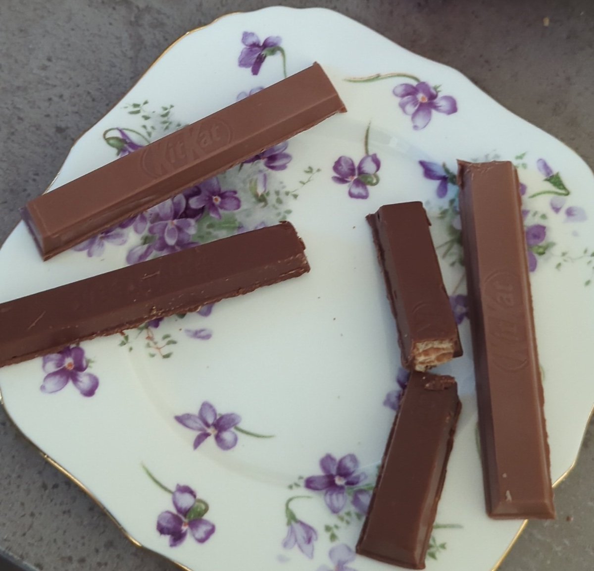 Amy 👩‍💻 🏡🐺 tweet media