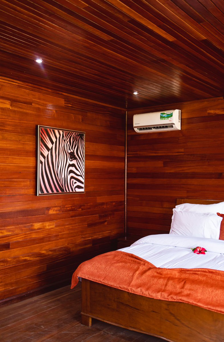 Ngabelodge's tweet photo. Réveillez-vous au cœur de la forêt équatoriale et dites-nous comment était votre nuit dans l’un de nos 42 bungalows.
Un lit Queen size.
Douche avec eau chaude.
Climatiseur.
Terrasse.
Dressing.
Réservations via Whatsapp : 00 242 06 661 77 42
#Ngabe #NgabeLodge #Congo https://t.co/TwGz7GBcco