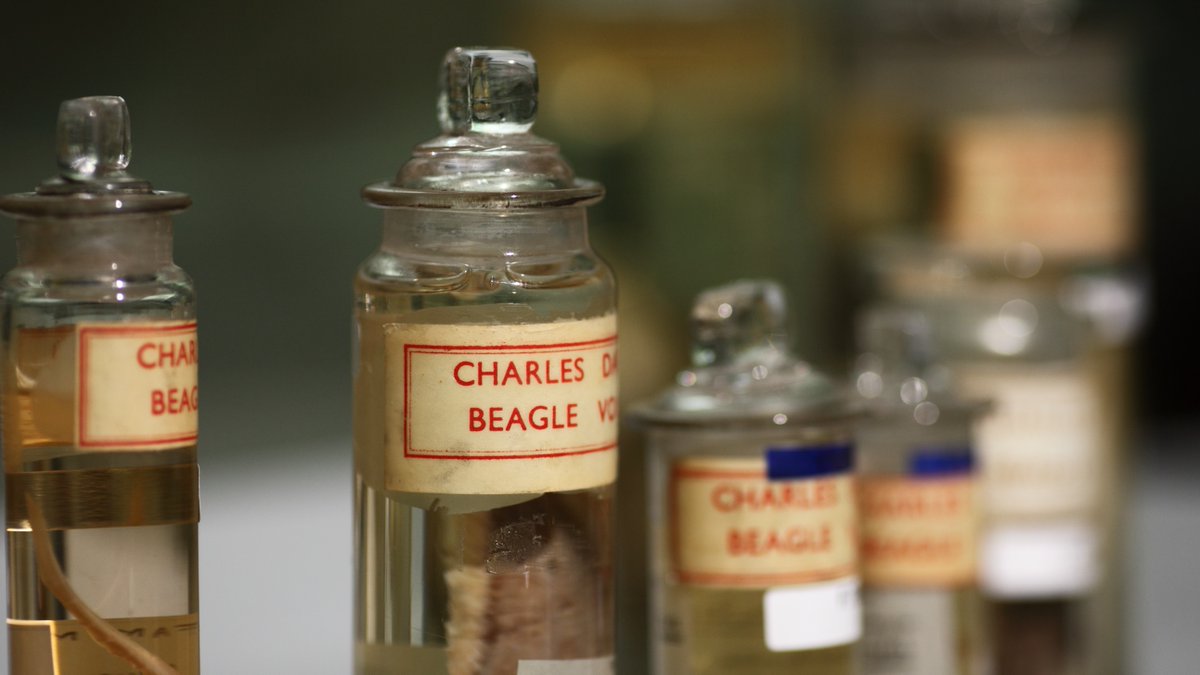 We're looking for two RSEs to join the team. These jobs are open-ended (not fixed term). The jobs both have a focus on high perfromance computing but also include the fundamentals of #RSEng.

jobs.cam.ac.uk/job/39194/

#hiring #RSE #RSEng #HPC