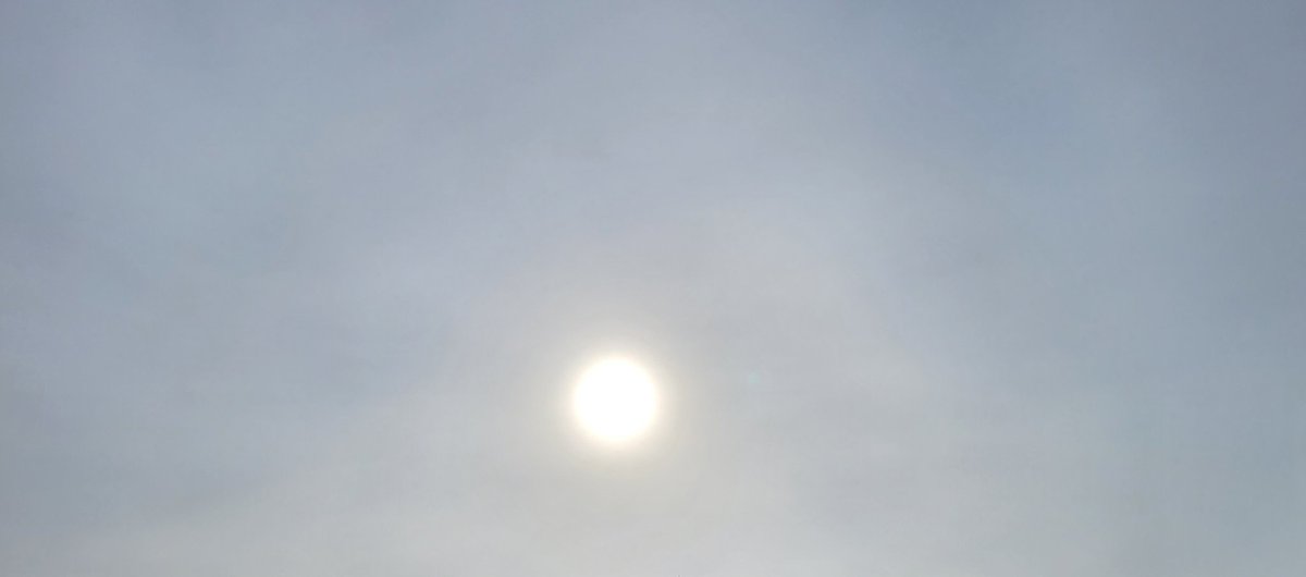 machan57764329's tweet photo. 「太陽がキレイ☀️」

先日散歩に行った公園で
私に教えてくれた
1歳児クラスの女の子

「青色と赤色と…」
と自分から見える太陽の色を
教えてくれた

確かに
いろんな色に見える🌈

晴れではなかったけれど
太陽のキレイさに気づく感性
本当に素敵だなぁと
感心したんだ♪

記念にパシャリ📸
#保育園 https://t.co/3qkNPalJKB