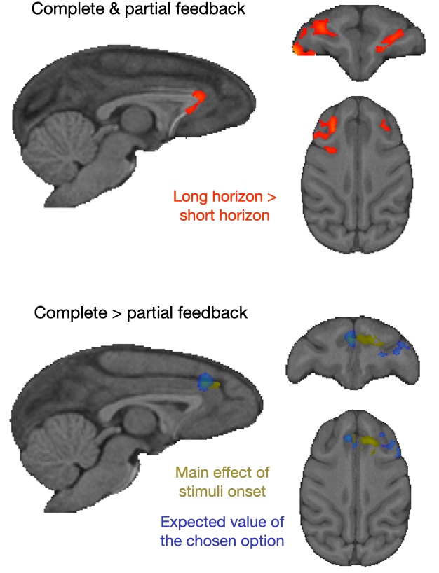 PLOSBiology's tweet photo. Do humans and other #primates explore in the same way? @cjahn_neuro @jangrohn @NilsKolling @Jerome_sallet &co reveal that #monkeys strategically explore to improve future outcomes; this is linked to distinct signals in their #FrontalCortex #PLOSBiology https://t.co/SnvEcGT0Qf https://t.co/Xi3PYgxRZP