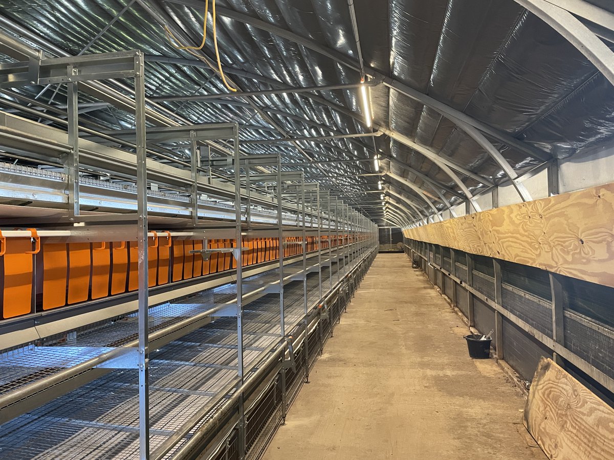 NewquipLtd's tweet photo. It’s out with the old flat-deck equipment and in with the shiny new Big Dutchman Natura Step multi-tier system for 6,000 lucky free-range laying hens in South Cambridgeshire! 🐓#natura #bigdutchman #step #multitier #system #chickens #happychickens #newquip https://t.co/di474iz1g1