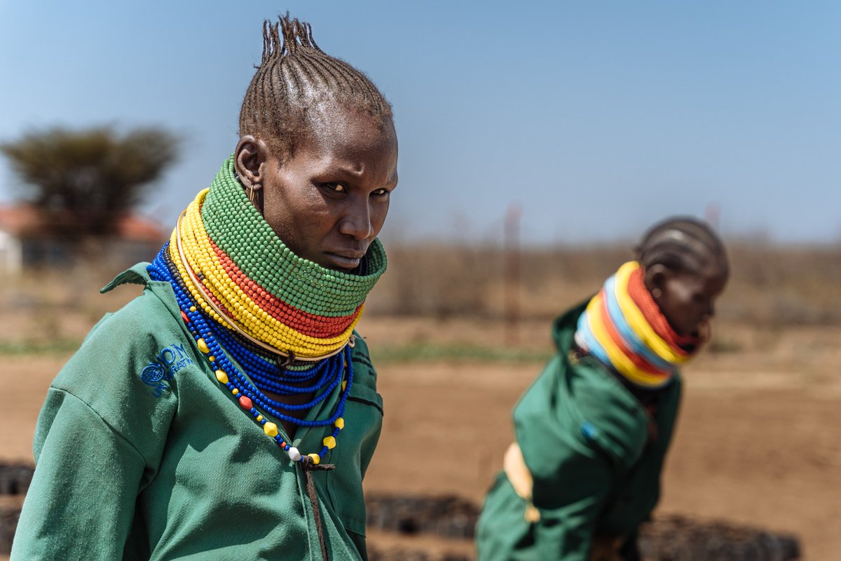 daniels_ugochi's tweet photo. To address the impact of climate change and help the community of Namon, Kenya, IOM has planted 44,500 drought-resistant trees and vegetable seedlings.  

IOM has trained the community to take care of these plants and sustain their livelihoods. https://t.co/cXpXLtwAOQ