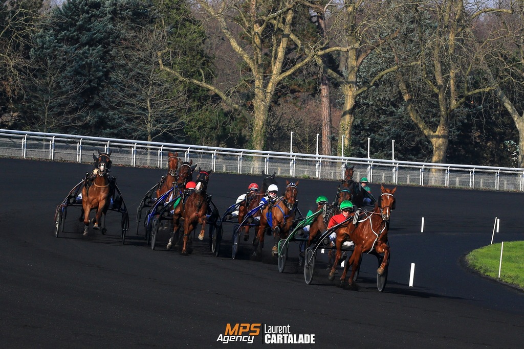 vermeulenk's tweet photo. MPS__AGENCY: Vincennes Prix d'Amérique ...
#PDAR #PARZ #RaceAndCare #Courses #HorseRacing #HorsesRaces #Horses #RaceHorse #Racing #Hippodrome #Trot #Harness #HorsePhotographer #InstaHorse #Sport #Vincennes #Track #LeTrot #PassionCheval #LegendRace #vinc… https://t.co/4ivQhxmJtw