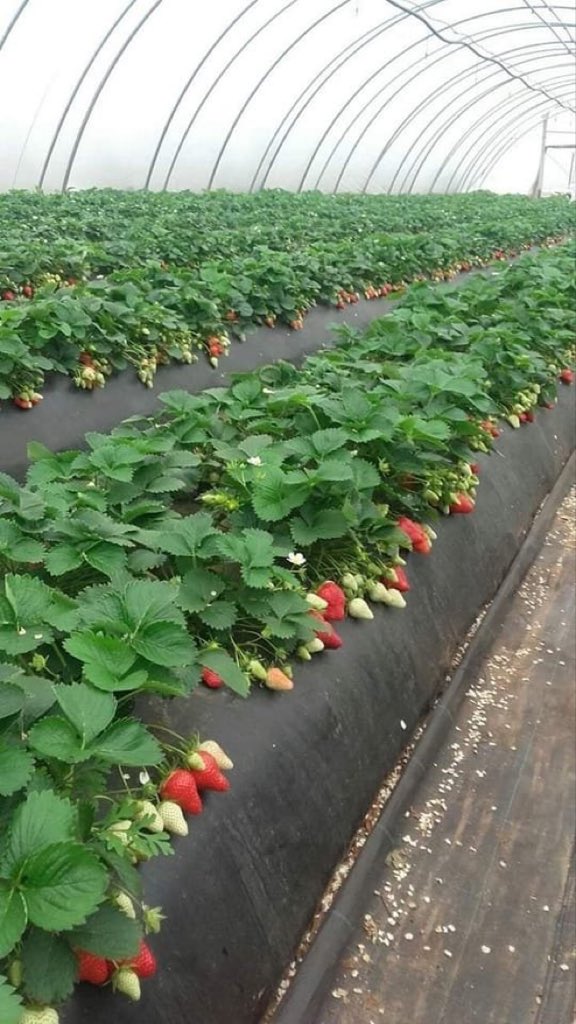 Agriculture needs wise people to reinforce its transformation. 
Do you agree? Retweet