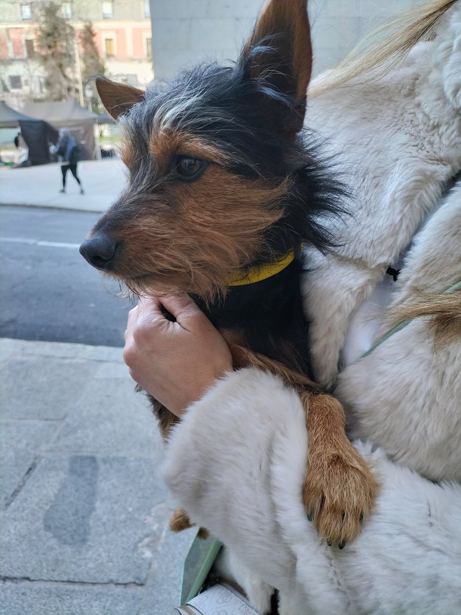 Salvador Tauroni tweet media