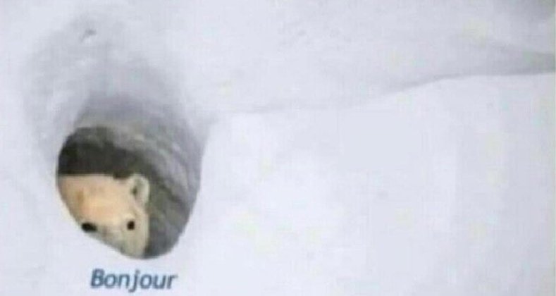 Last game of the season vs RVMS.
Time: 2245cet
Stream: twitch.tv/rainbowsix_npl