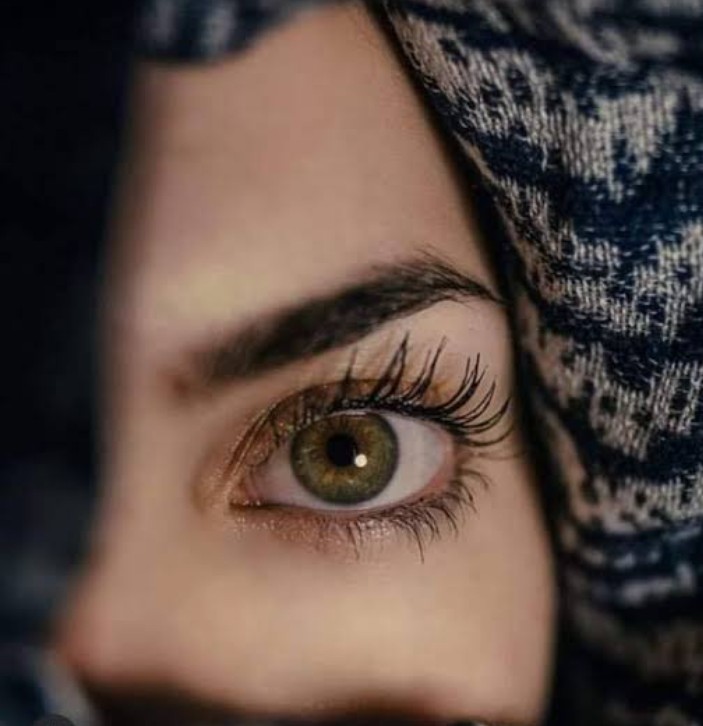 قيثاره 🖊️ tweet media