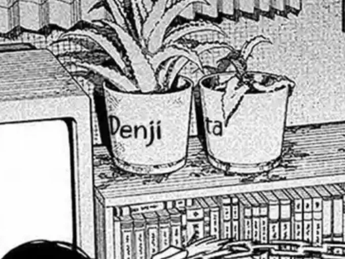 Denji and nayuta have named houseplants next to eachother &amp; I like her denjis is fully grown but nayuta's is dying 