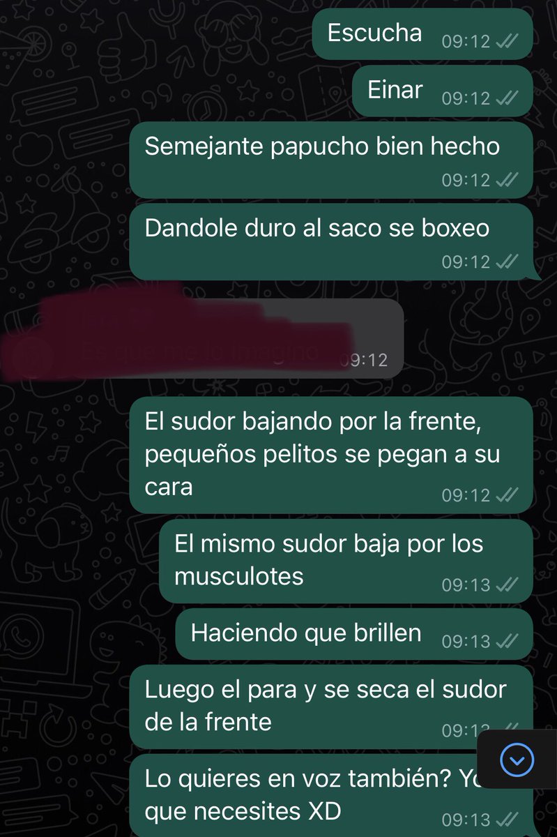 Leri_03's tweet photo. Yo debería estar estudiando, pero en lugar de eso estoy dando hype a mis amigas con la lamina +16 de Einar 

No se quiere, se necesita 

#ADOM #ADOManual @Nosolorol @LadyReahOfi https://t.co/r1qRVUj1xp