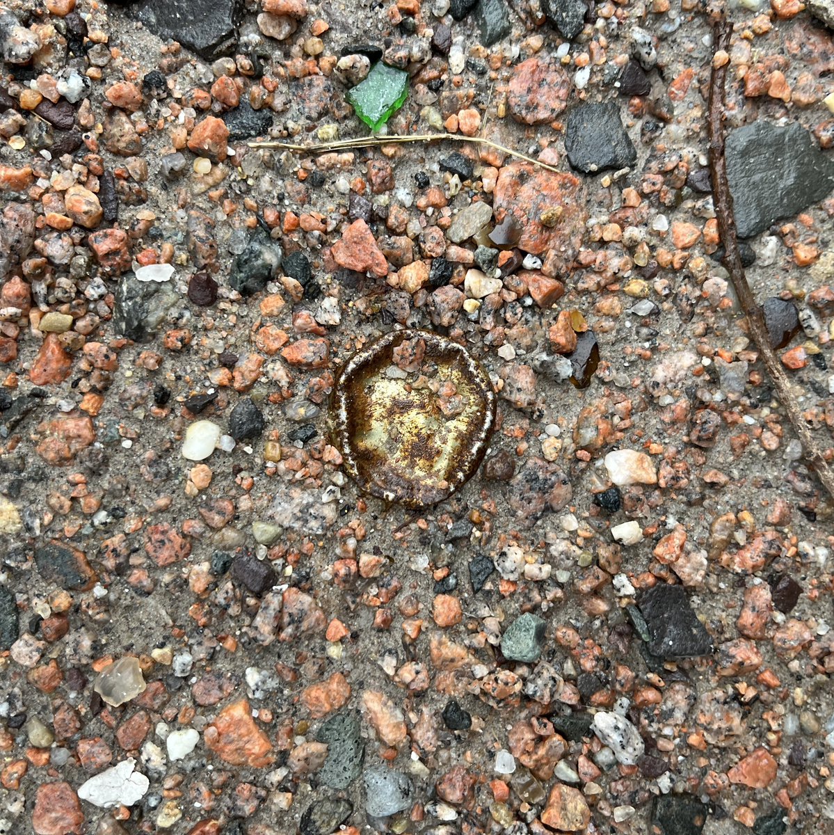 theCAP_project's tweet image. 29jan23 (8/127collected)
-1st pic #125Cap 12:55 Hamburg-Borgfelder
-2nd pic #112Cap 12:40 HafenCity
-3d pic #15Cap 12:28 HafenCity Grasbrookpark
-4th pic #63Cap 12:35 HafenCity 

#January2023

#cap_mapping #cap_identity #Hamburg #Germany #the_cap_project #bottlecap 
#bottlelid