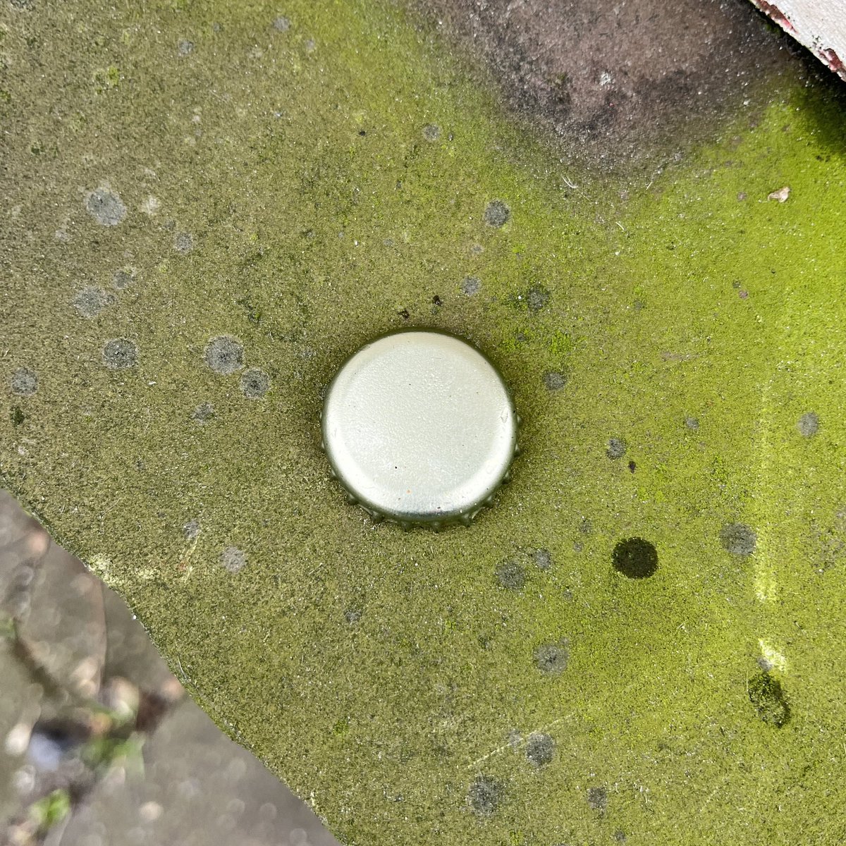 theCAP_project's tweet image. 29jan23 (8/127collected)
-1st pic #125Cap 12:55 Hamburg-Borgfelder
-2nd pic #112Cap 12:40 HafenCity
-3d pic #15Cap 12:28 HafenCity Grasbrookpark
-4th pic #63Cap 12:35 HafenCity 

#January2023

#cap_mapping #cap_identity #Hamburg #Germany #the_cap_project #bottlecap 
#bottlelid