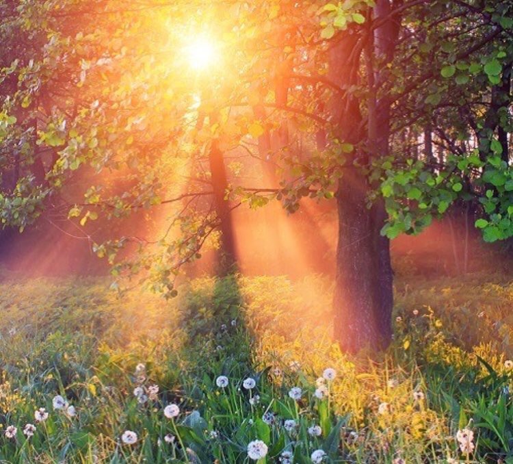 springtime sunsets