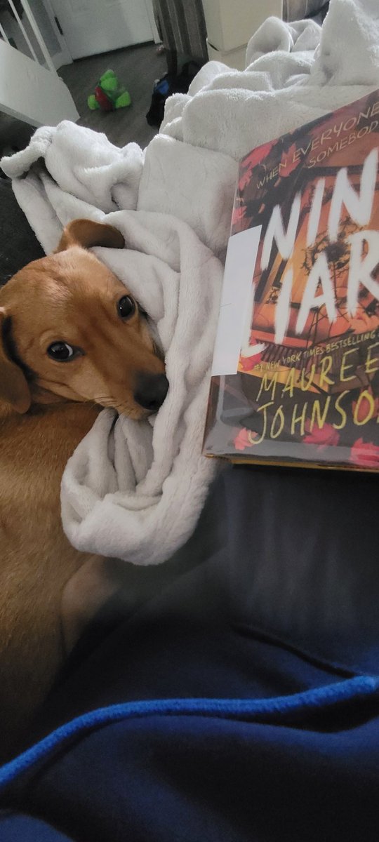 Kyla Rall tweet media