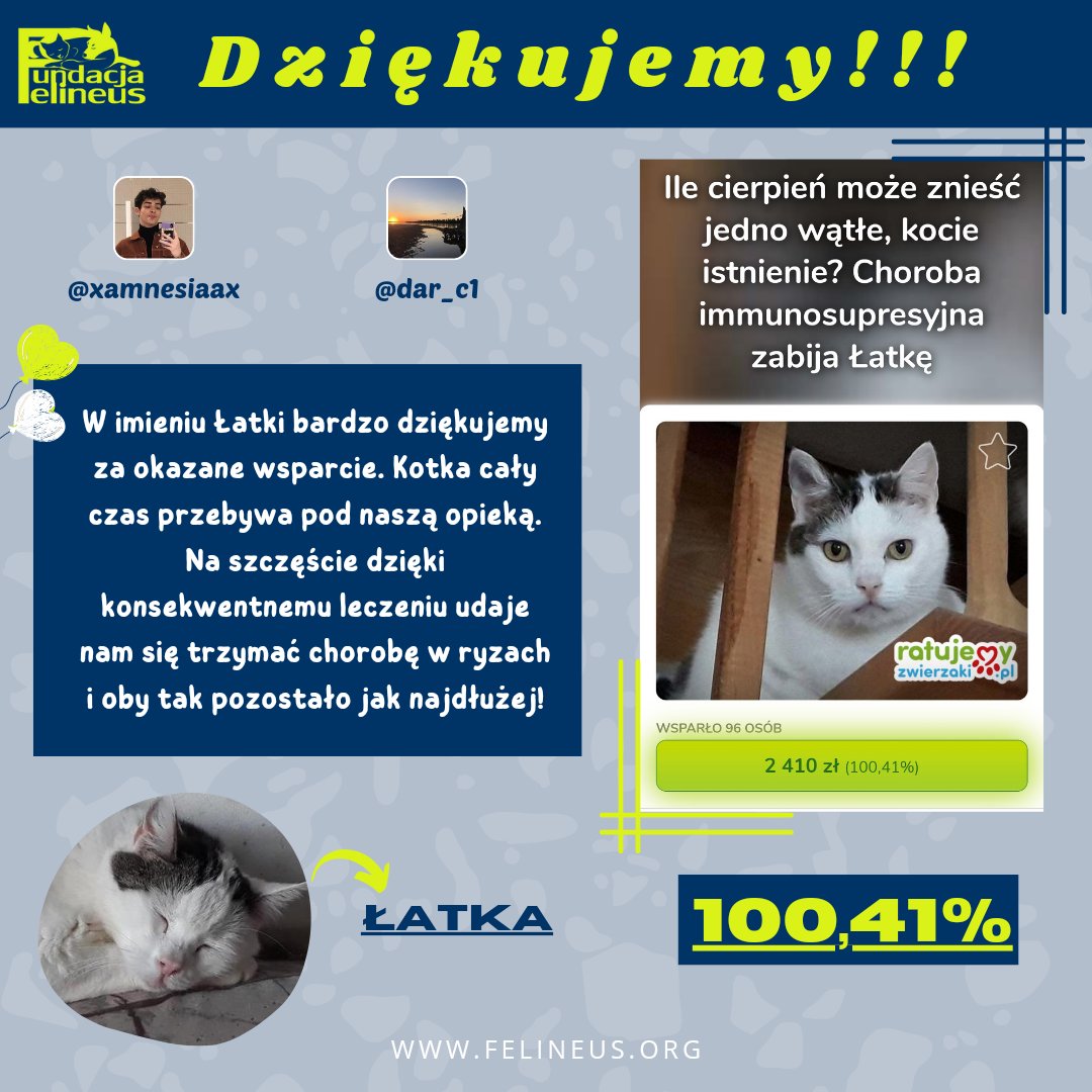 F_FELINEUS's tweet photo. W imieniu Łatki bardzo dziękujemy za okazane wsparcie. Kotka cały czas przebywa pod naszą opieką.

@xamnesiaax, @dar_c1 ❤️🐈 Pozdrawiamy.

#dziękujemy #zbiórkazakończona #sukces #finał #kot https://t.co/zgXddwC2GC