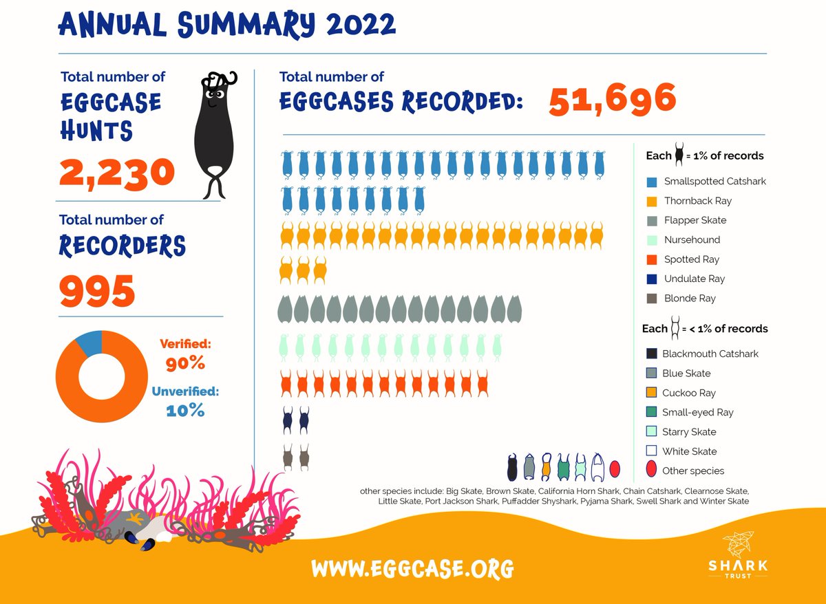 SharkTrustUK's tweet image. With 2023 well underway, we’ve been reflecting on 2022 &amp;amp; the whopping 51,696 eggcases that our eggcase hunters recorded for #CitzenScience last year – our best eggcase year to date! Find out more about the #GreatEggcaseHunt &amp;amp; 2022’s finds here:
bit.ly/40amkKJ