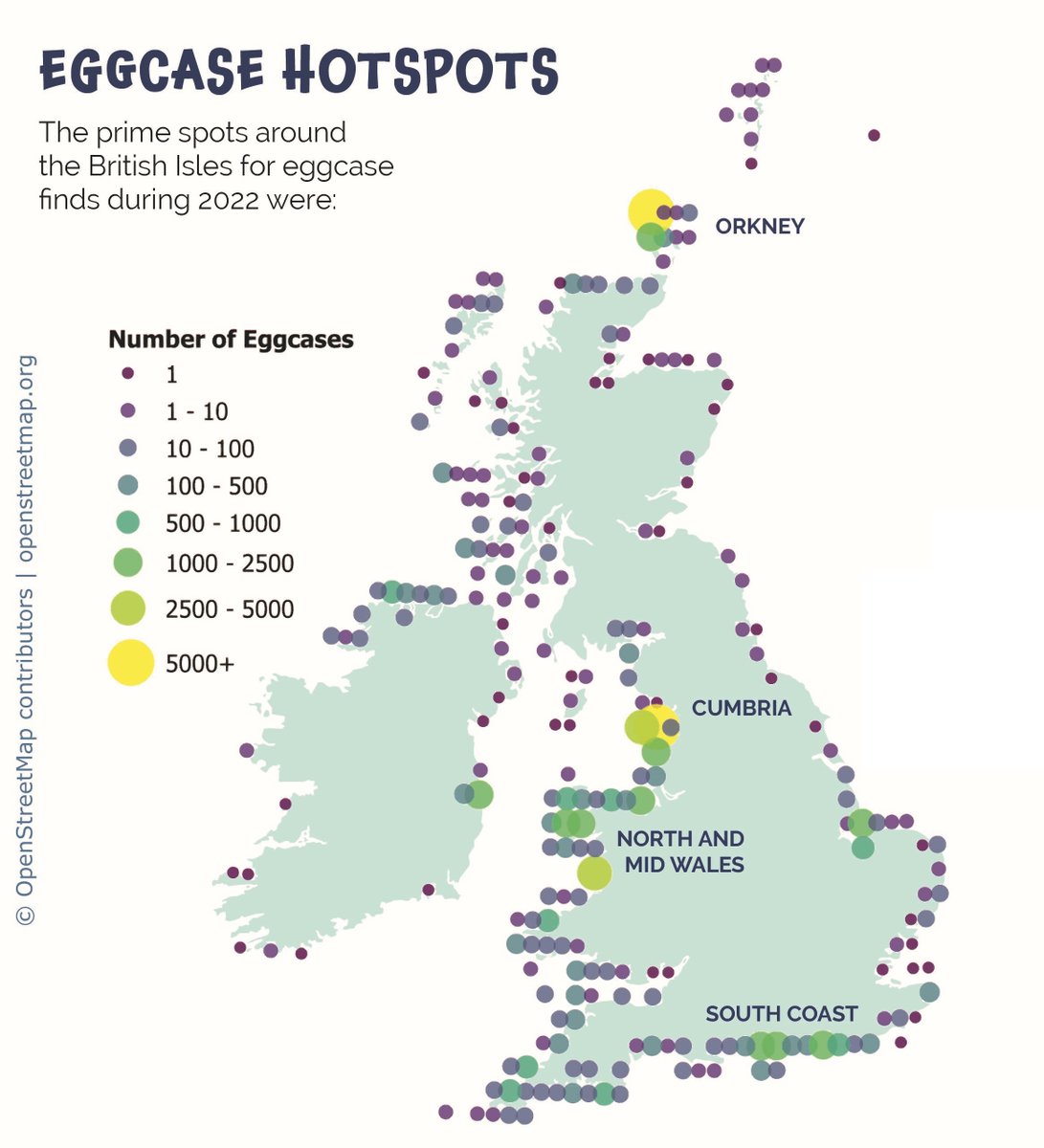 SharkTrustUK's tweet image. With 2023 well underway, we’ve been reflecting on 2022 &amp;amp; the whopping 51,696 eggcases that our eggcase hunters recorded for #CitzenScience last year – our best eggcase year to date! Find out more about the #GreatEggcaseHunt &amp;amp; 2022’s finds here:
bit.ly/40amkKJ