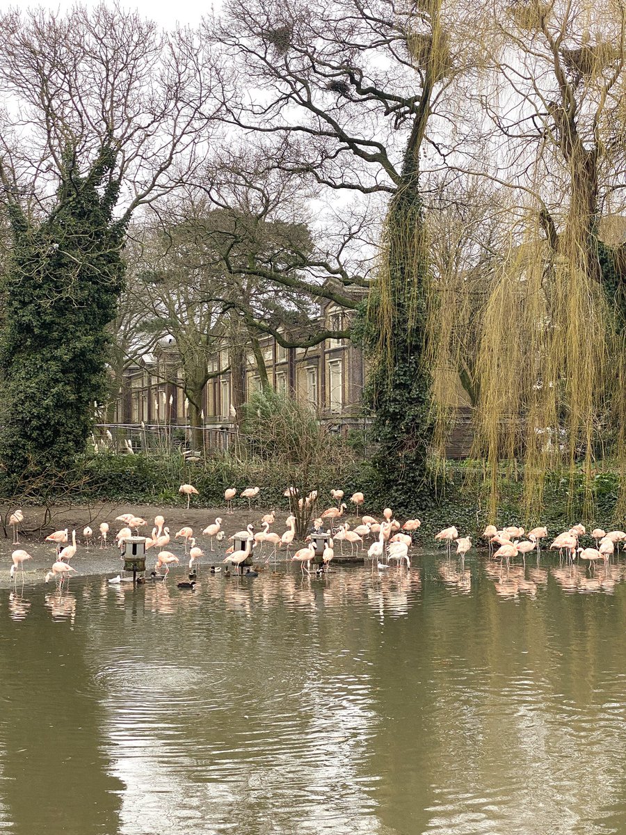 Locatie bezoek voor ons aankomende event. Heb jij je al aangemeld? 14 februari. En 3x raden welke locatie we hebben gekozen? Aanmelden kan via de link 👇

wijzijnbreikers.nl/hoera-50-nieuw…