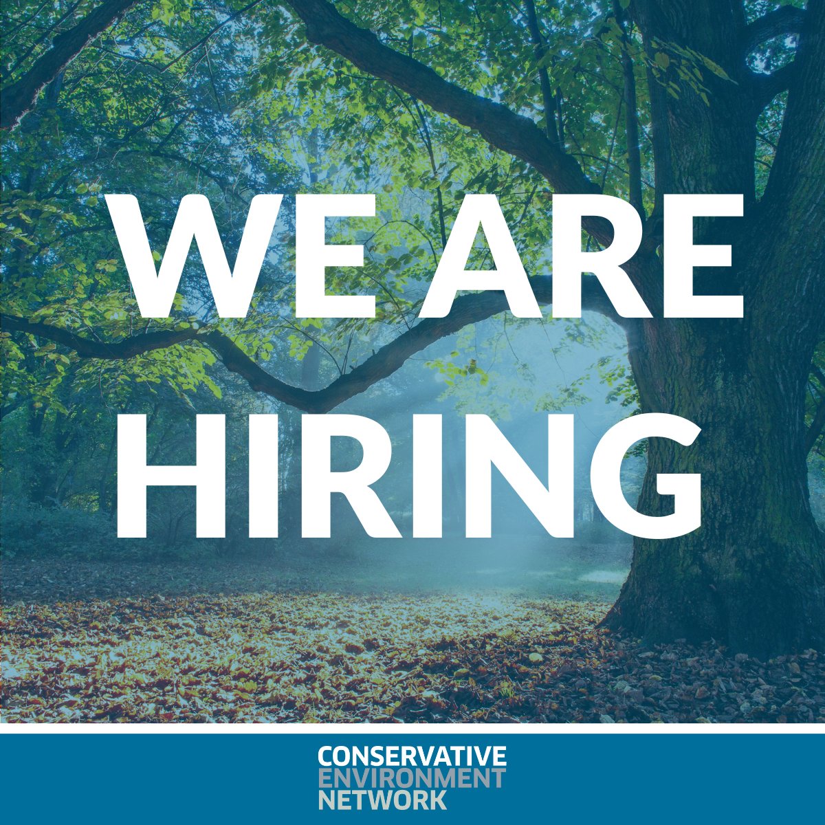 🚨 CEN is hiring for the following roles:

👉 Climate Programme Manager

👉 Nature Programme Manager

⏰ Apply by noon on 15th February

🔗Find out more: cen.uk.com/our-jobs

#jobs #hiring #job #environmentaljobs #londonjobs