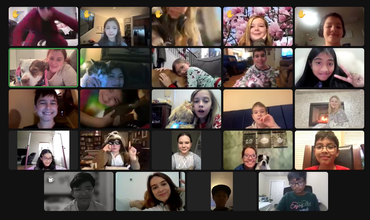 It may be a cold and icy day, but I got to see Mrs. Chandler and Ms. Buckler’s 4th grade students… and their awesome pets on Zoom! #petshowandtell #1LISD #iceday