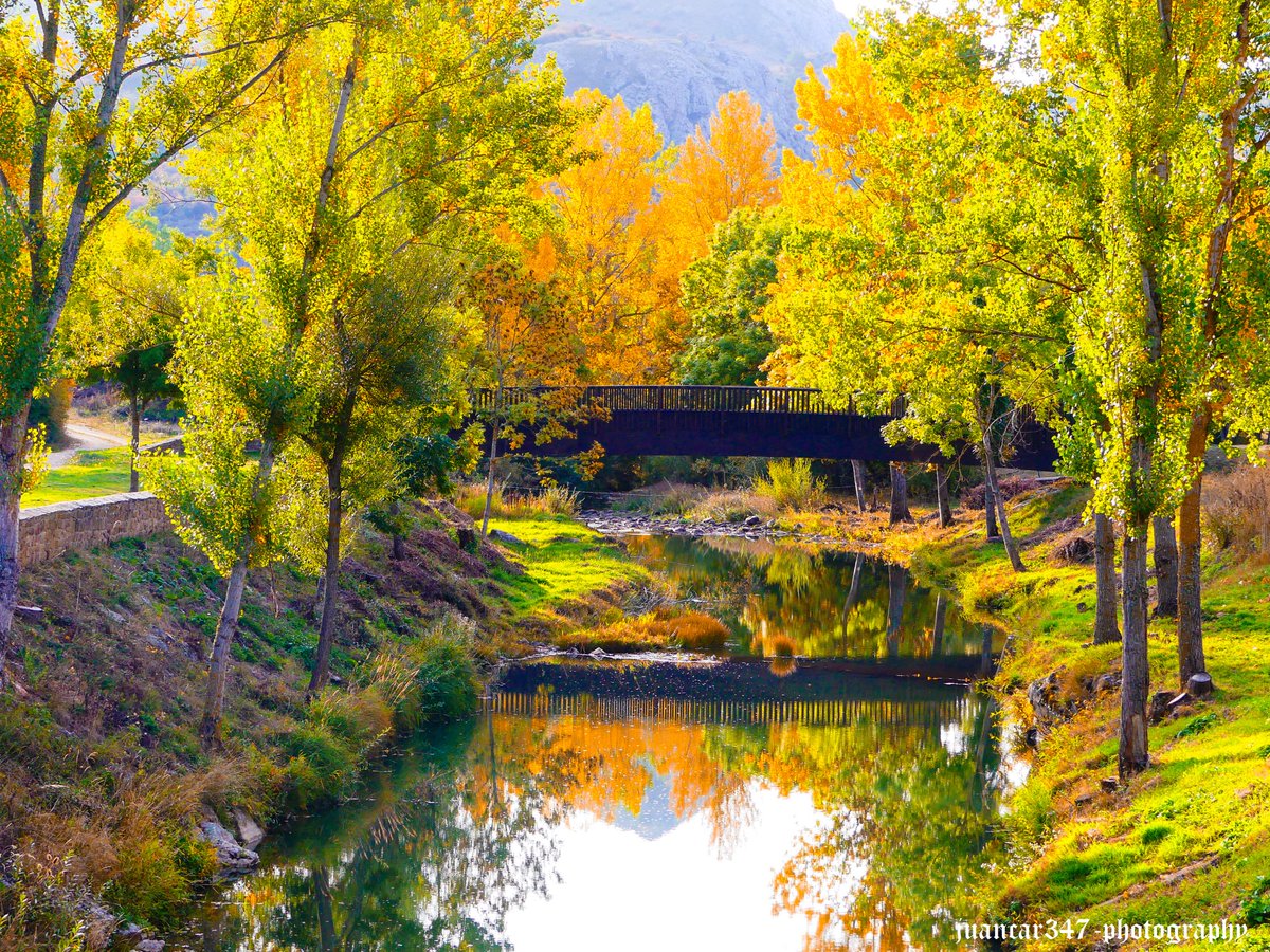 juancar347's tweet photo. Bucólica escena del río Pisuerga a la vera de la Montaña Palentina...
#fotografia #viaje #montañapalentina #cantamuda #palencia #españa https://t.co/lsgAlbC8LW