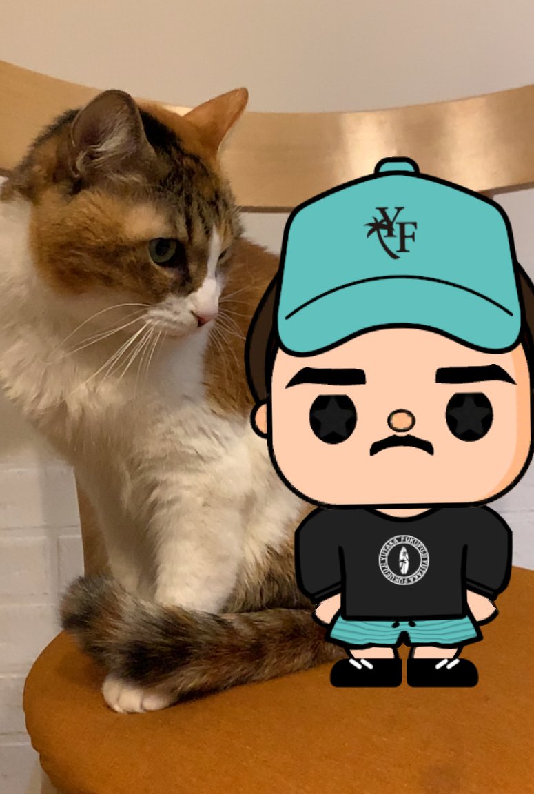 oshisuta's tweet image. おはスター☆

@44fuji 福藤さ〜ん、ARはもう試してみたかな？
リトルゆたかをチームメイトの頭の上に乗せて
写真とってほしいなぁ〜♪

＃推しスタ　＃福藤豊　#アイスホッケーヒーローズ2