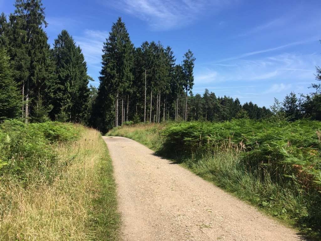 12 “Gravels Finest” Touren rund um Köln 
Bald is Carnival ... da darf eine Collection aus Köln nicht fehlen - falls man zwischendurch den Rausch ausradeln möchte ... 

Das “racing team cölle” (RTC) ist entstanden aus dem harten Kern des Wintertrainingstr… instagr.am/p/CoE7LOJjQOZ/
