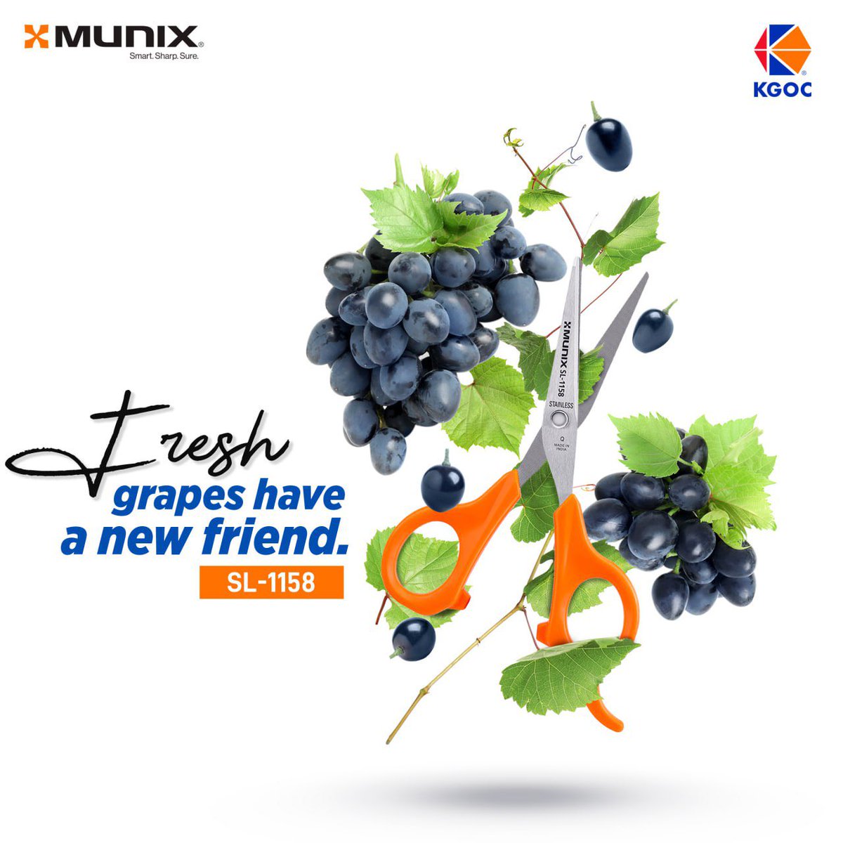 MunixKGOC's tweet image. Prune your grapes in the vineyard for a better growth. So your grapes look fresh when ready. 
 
#MunixScissors 
#Vineyard 
#CutToCreate 
#Cutting